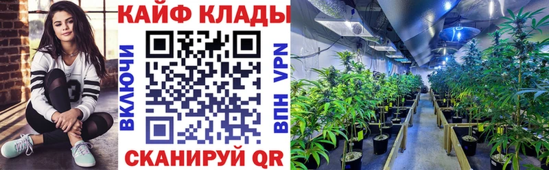 Виды наркотиков купить Казань СОЛЬ Амфетамин Псилоцибиновые грибы МЕФ Кокаин