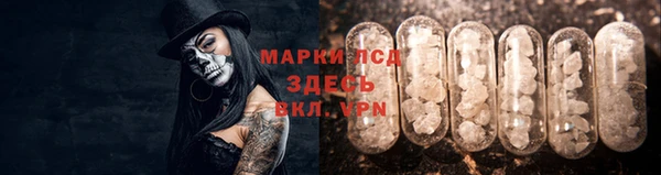 ПСИЛОЦИБИНОВЫЕ ГРИБЫ Богородск