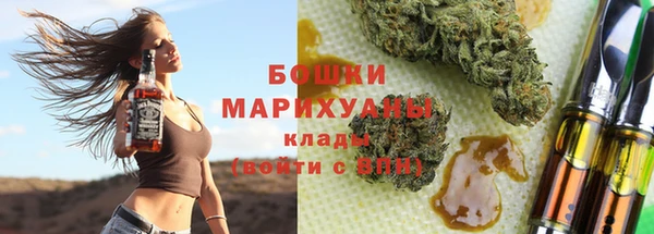 apvp Богданович