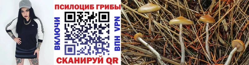 ссылка на мегу рабочий сайт  Казань  Галлюциногенные грибы MAGIC MUSHROOMS  купить наркотики цена 