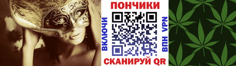 дарнет шоп  Казань  Бошки Шишки Ganja 
